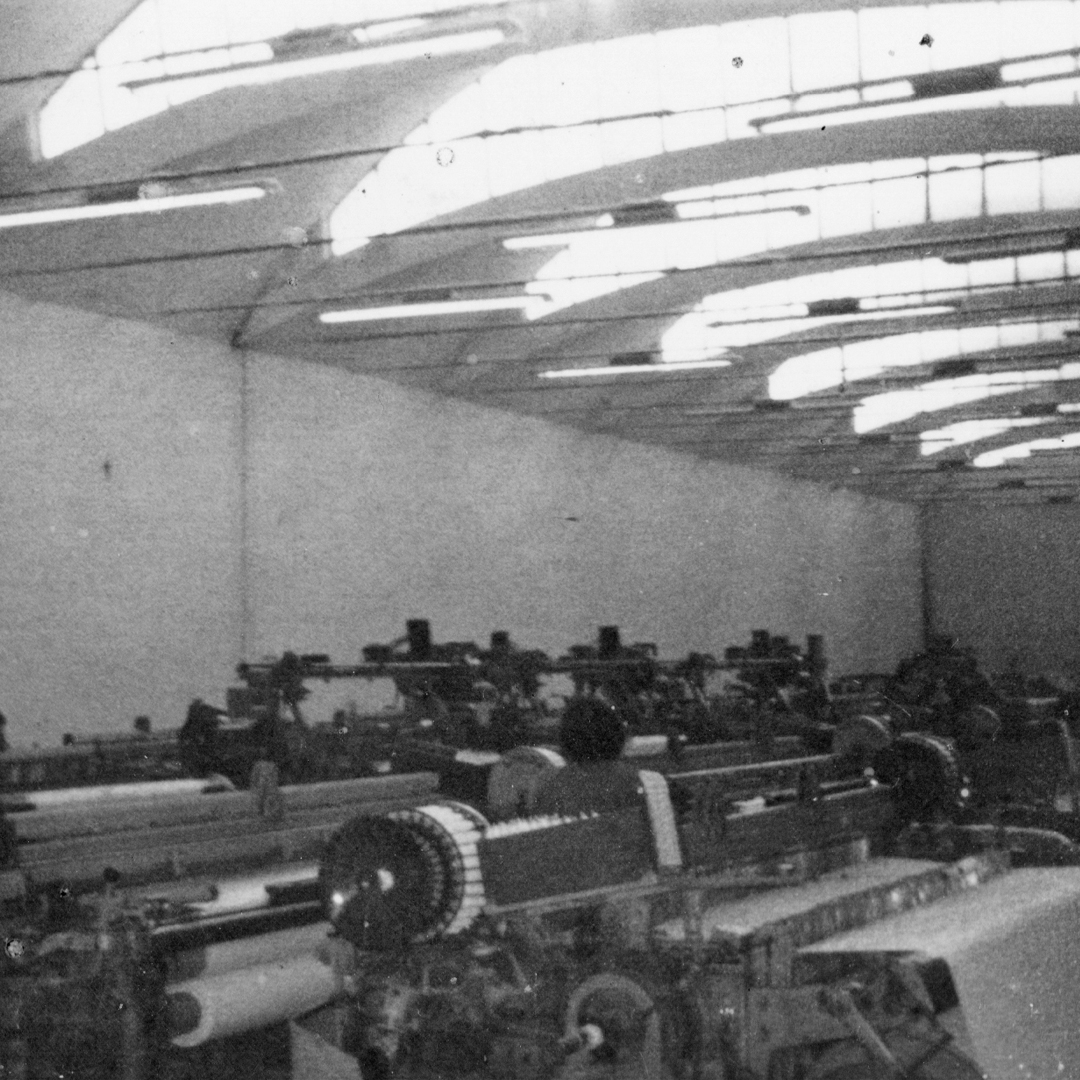 Progetto senza titolo - 5