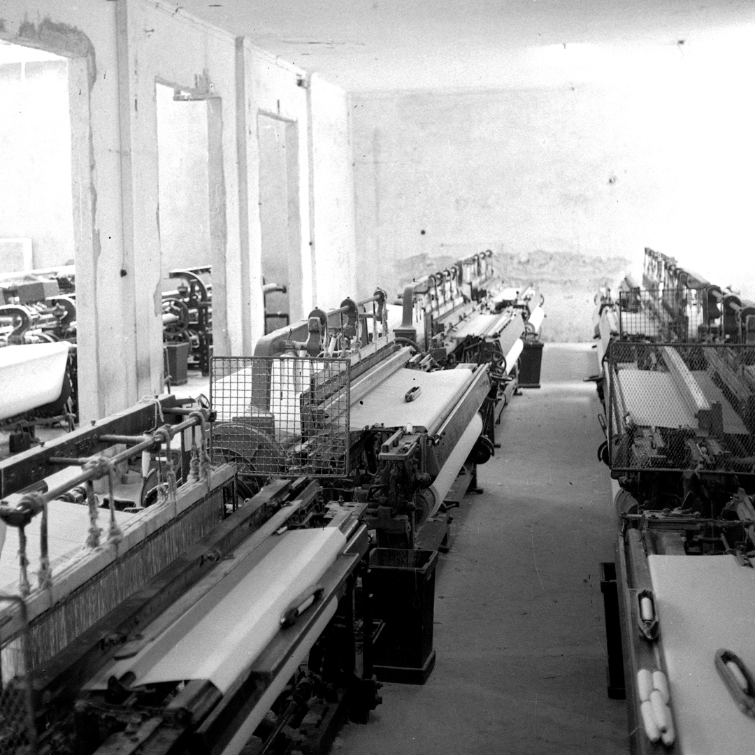 Progetto senza titolo - 5